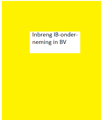 Inbreng IB-onderneming in BV